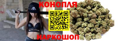 индика Новокубанск
