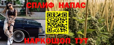 стафф Новодвинск