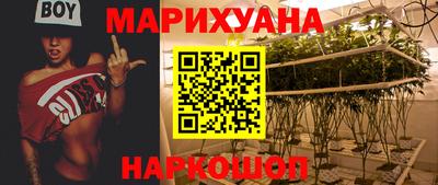 стафф Новодвинск