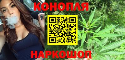 индика Новокубанск