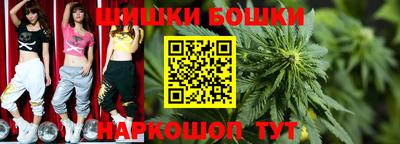 индика Новокубанск