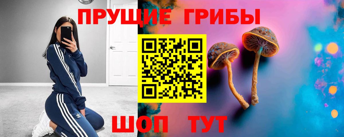 Уварово  Галлюциногенные грибы ЛСД  Вход с VPN  Псилоцибиновые грибы Magic Shrooms 